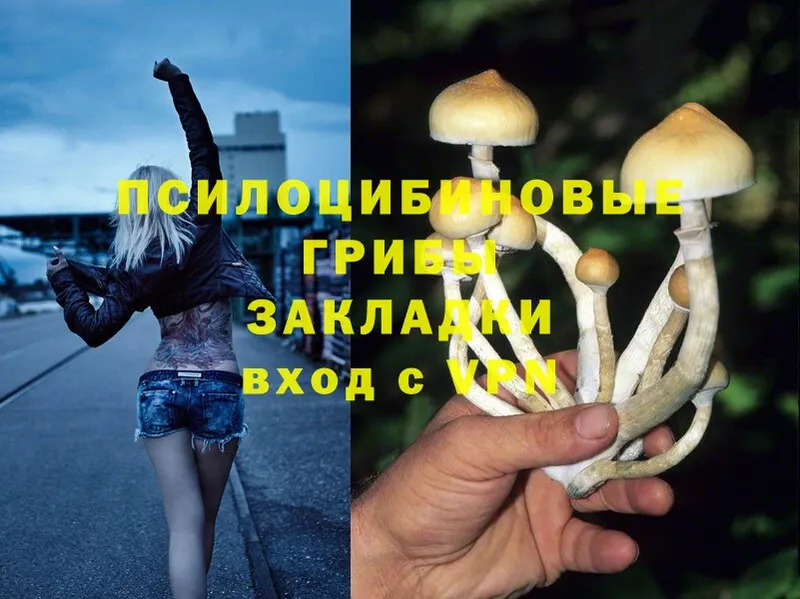 Псилоцибиновые грибы Magic Shrooms  где купить наркоту  Балахна 